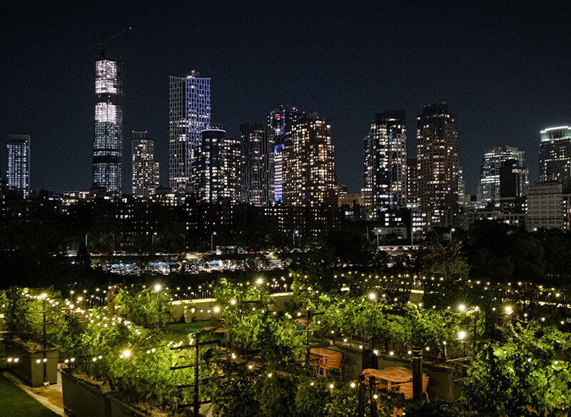 Le Vigne urbane di New York e della Polinesia