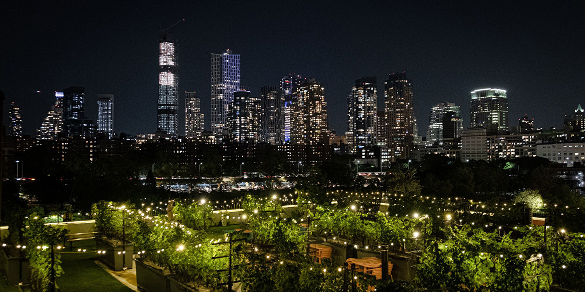 Le Vigne urbane di New York e della Polinesia