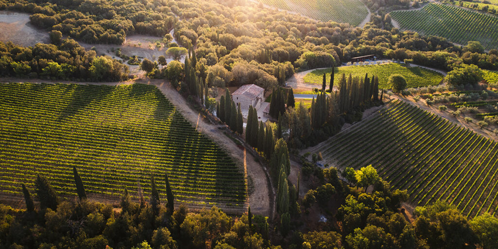 Giodo: il vino di (e non solo fatto da) Carlo Ferrini