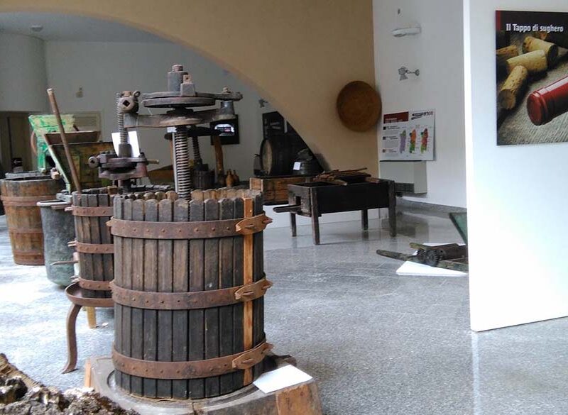 I musei del vino: MuviSardegna di Berchidda