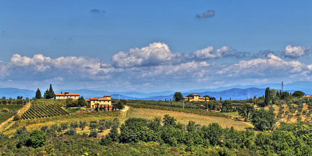 Alla scoperta del Chianti Colli Fiorentini