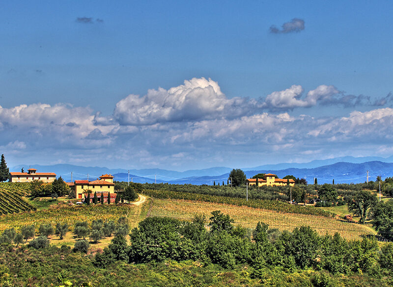 Alla scoperta del Chianti Colli Fiorentini