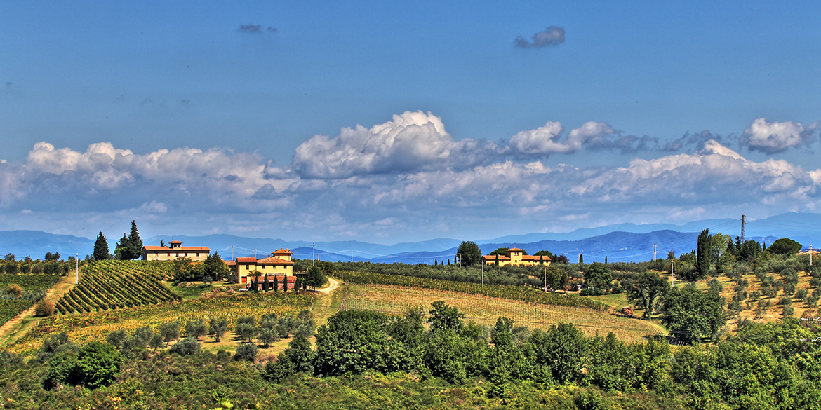 Alla scoperta del Chianti Colli Fiorentini