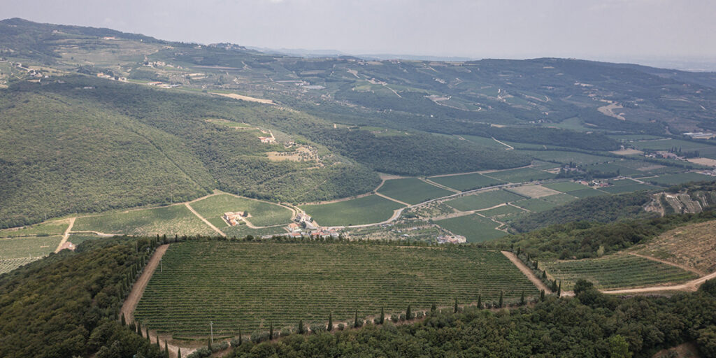 Tre interpretazioni della Valpolicella innovativa di Pasqua