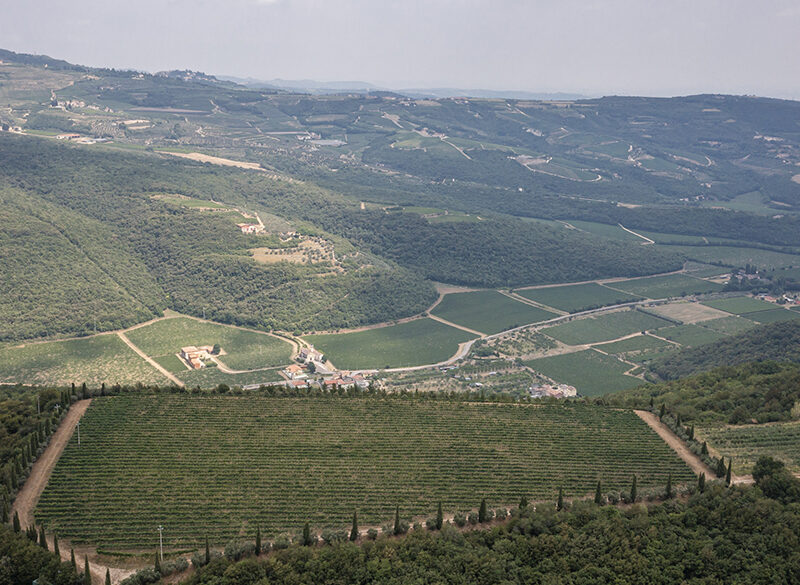 Tre interpretazioni della Valpolicella innovativa di Pasqua
