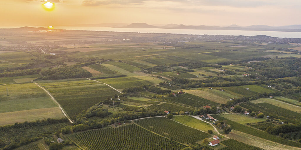 Ungheria, oltre il Tokaji c’è di più