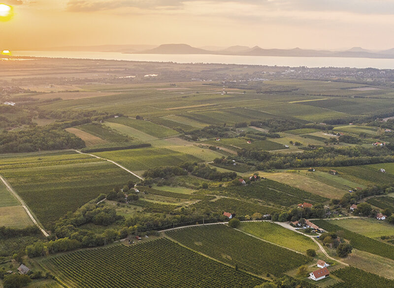 Ungheria, oltre il Tokaji c’è di più