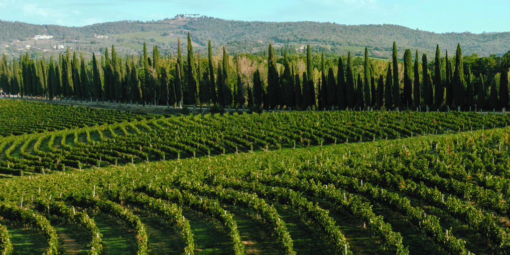 Tenuta di Arceno e la filosofia dei microcru