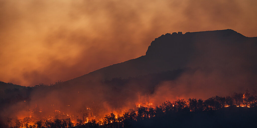 Fuoco in Cile e acqua in Nuova Zelanda: l’estate disastrosa dell’Emisfero sud