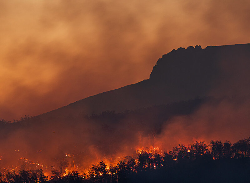 Fuoco in Cile e acqua in Nuova Zelanda: l’estate disastrosa dell’Emisfero sud