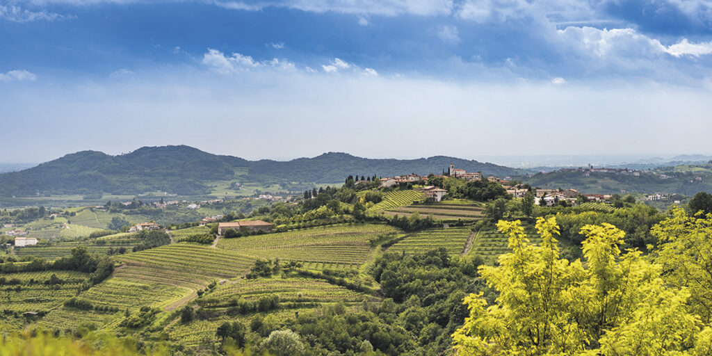 Viaggio nel Collio. Novità, progetti e confeme di un distretto in fermento