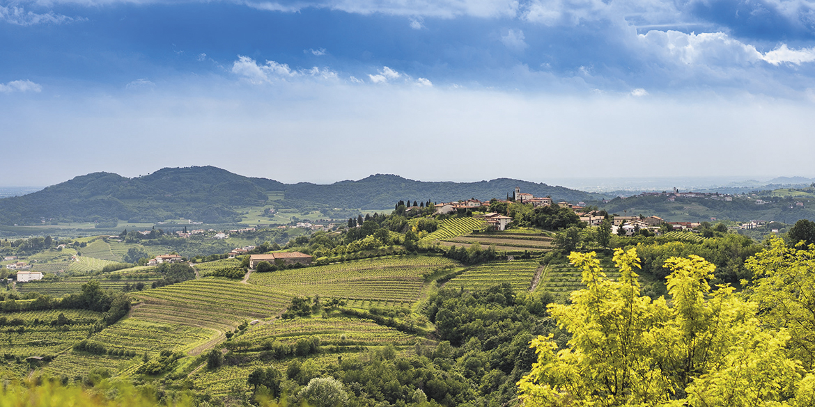 Viaggio nel Collio. Novità, progetti e confeme di un distretto in fermento