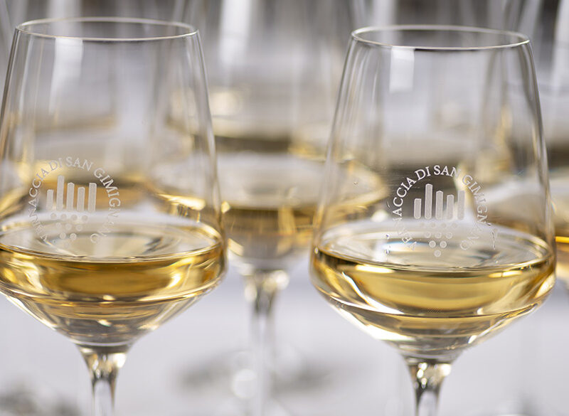 Anteprima Vernaccia di San Gimignano, i nostri migliori assaggi