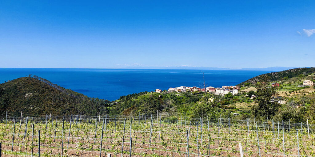 Cà du Ferrà rilancia lo storico vitigno Ruzzese. Al Vinitaly debutta il passito Diciassettemaggio