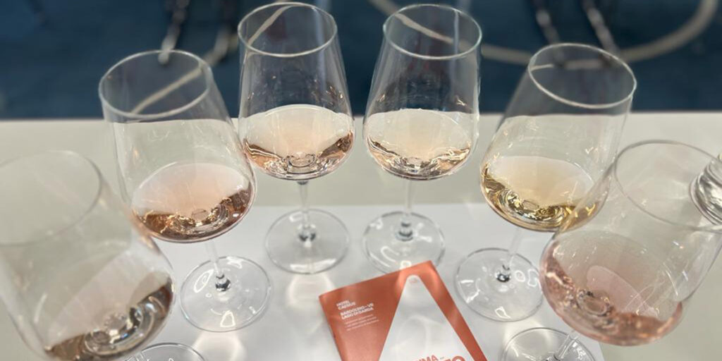 Anteprima Chiaretto Bardolino 2023, i nostri migliori assaggi