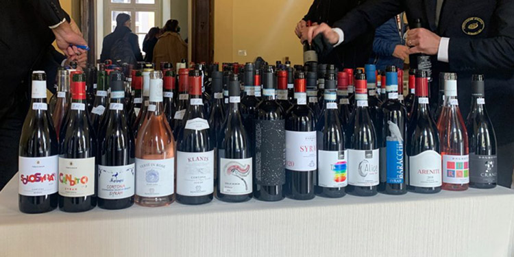 Chianina & Syrah 2023, i nostri migliori assaggi