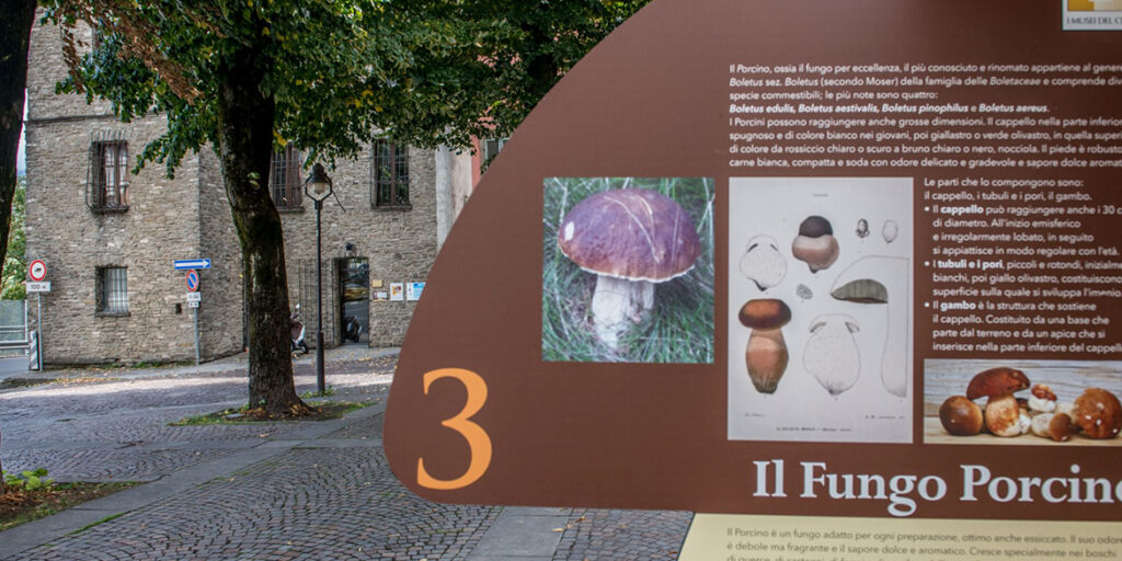 Musei del cibo: il Museo del fungo porcino di Borgotaro