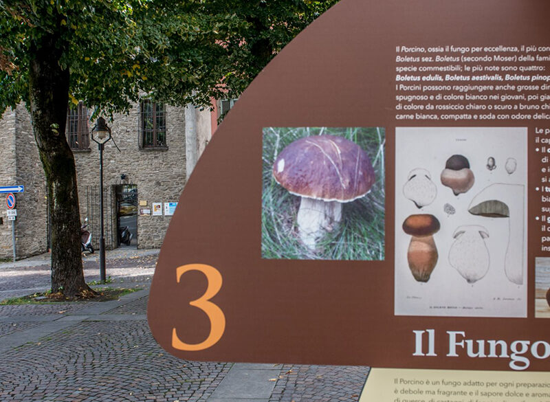 Musei del cibo: il Museo del fungo porcino di Borgotaro