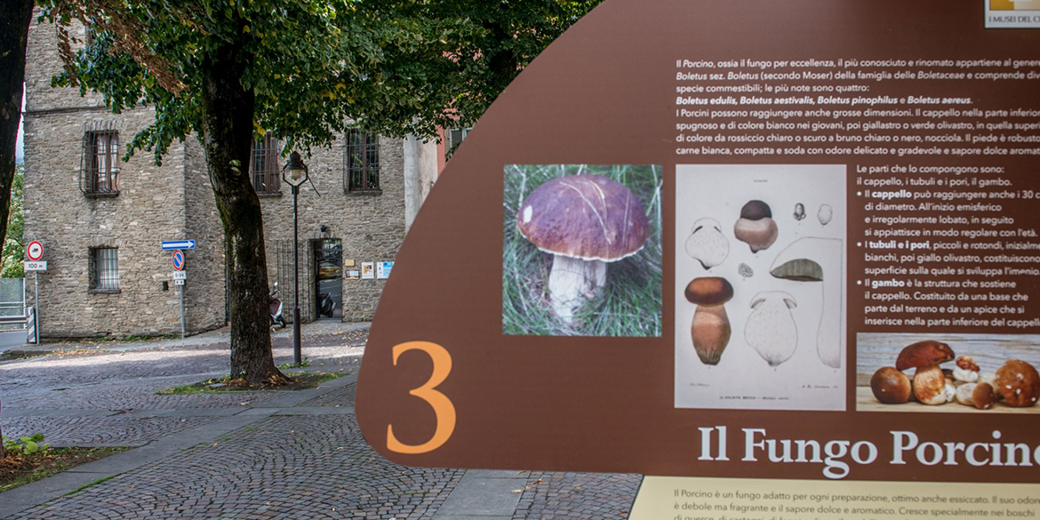 Musei del cibo: il Museo del fungo porcino di Borgotaro