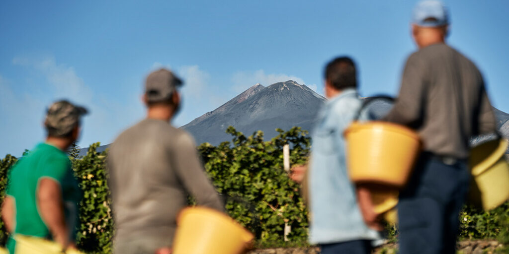 Tenuta Ballasanti, inedite espressioni dall’Etna