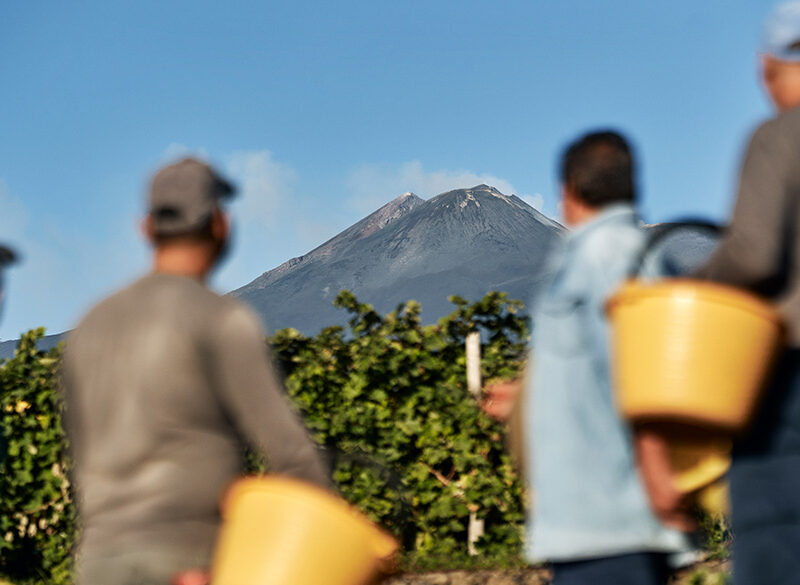Tenuta Ballasanti, inedite espressioni dall’Etna