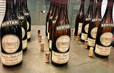 Sei annate di Amarone Classico Bertani “esuberanti”