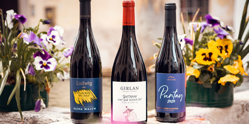 I vincitori del Concorso nazionale del Pinot nero 2023