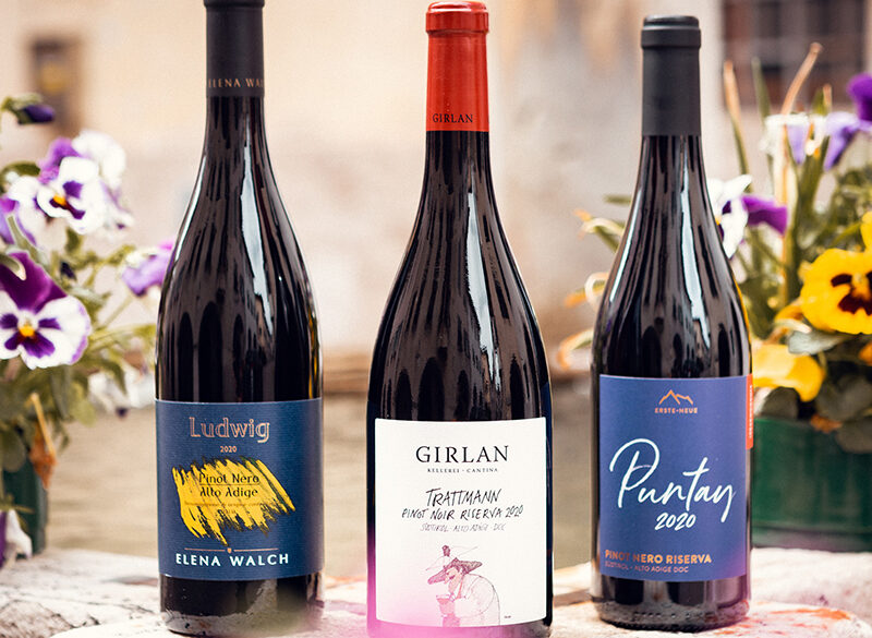 I vincitori del Concorso nazionale del Pinot nero 2023