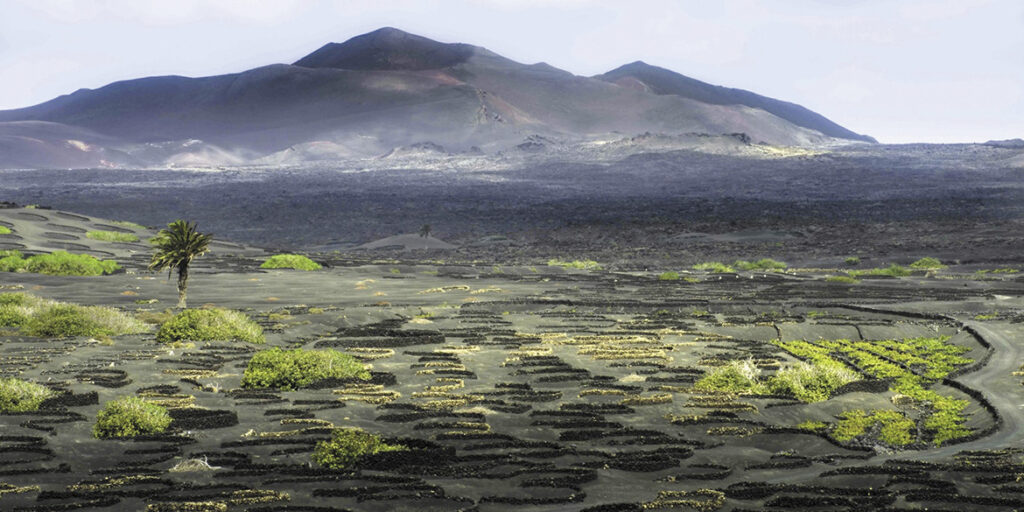 Viaggio alle Canarie: paesaggi del gusto a Lanzarote