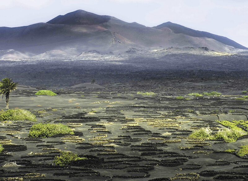 Viaggio alle Canarie: paesaggi del gusto a Lanzarote