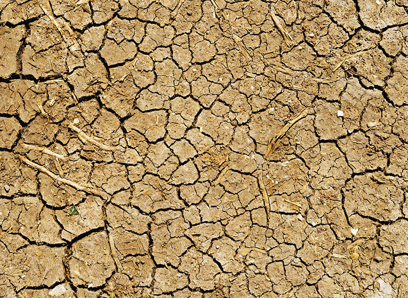 Crisi idrica: per la viticoltura  il quadro mondiale si fa allarmante