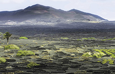 Viaggio alle Canarie: paesaggi del gusto a Lanzarote