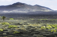 Viaggio alle Canarie: paesaggi del gusto a Lanzarote