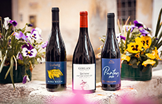 I vincitori del Concorso nazionale del Pinot nero 2023