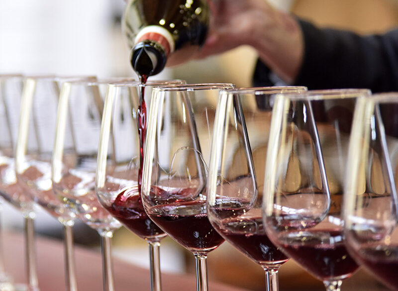 Monferrato Wine Festival, i nostri migliori assaggi