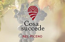 Cosa succede nel Piceno