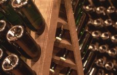 Come sta il settore vinicolo italiano? L’indagine Mediobanca