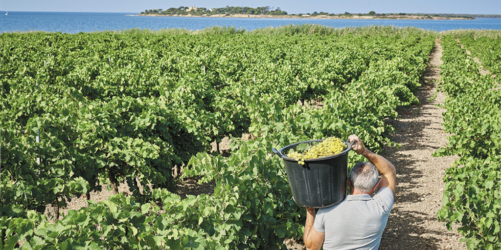Florio, il Vino per capire il Marsala