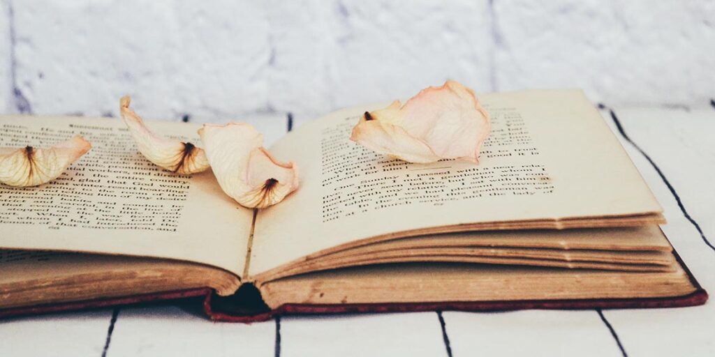 I nostri consigli di lettura per l’autunno