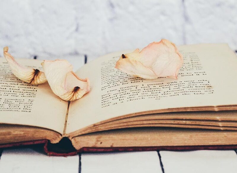I nostri consigli di lettura per l’autunno