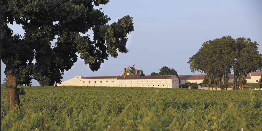 Seconds vins nel mondo: perché non sono secondi a nessuno