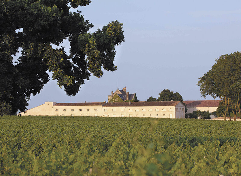 Seconds vins nel mondo: perché non sono secondi a nessuno