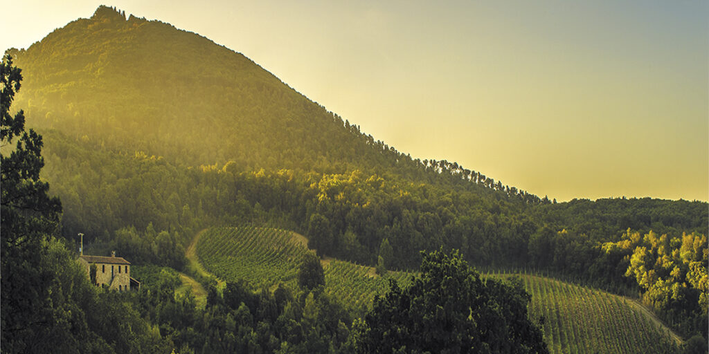 Seconds vins in Italia, l’autonomia è relativa
