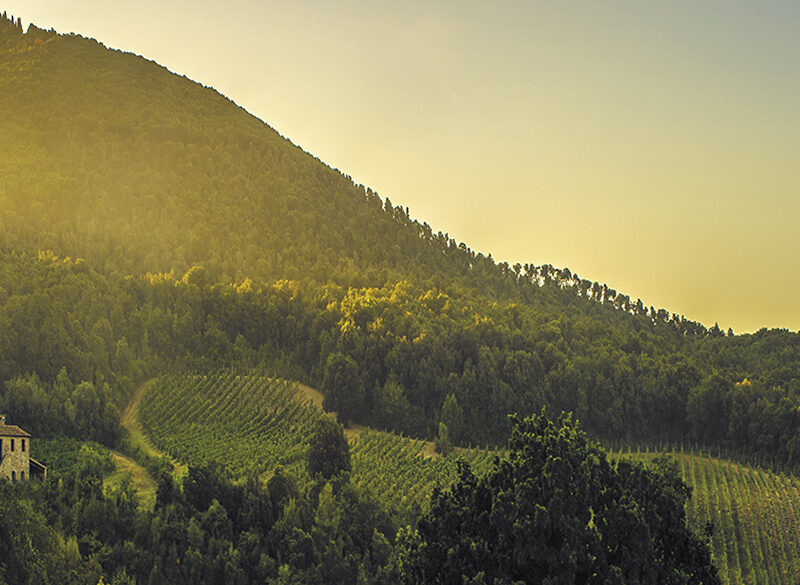 Seconds vins in Italia, l’autonomia è relativa