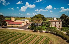 Una nuova cantina per Re Manfredi, azienda simbolo del Vulture