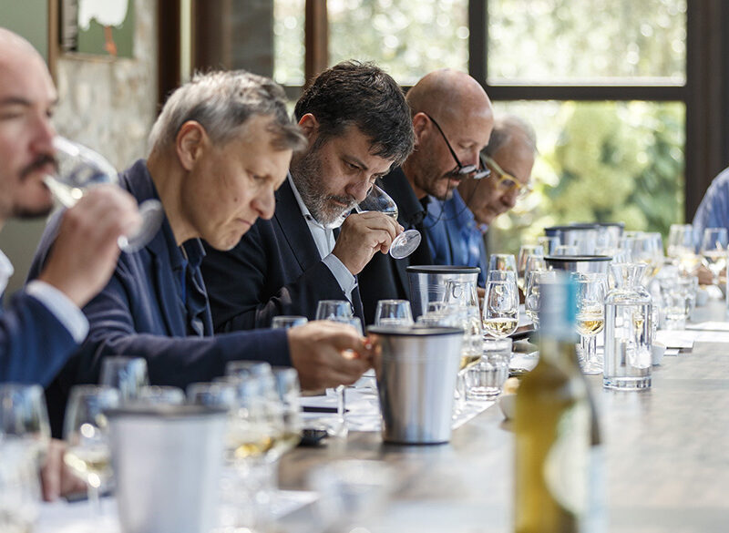 Masi Agricola entra a far parte del Consortium dell’Oiv