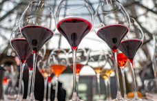 Le nomination italiane ai Wine Star Awards 2023 di Wine Enthusiast