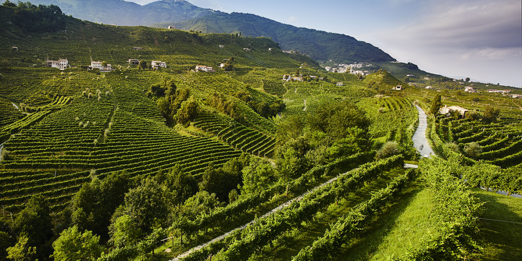 Prosecco: crisi di volumi, di identità o normale assestamento?