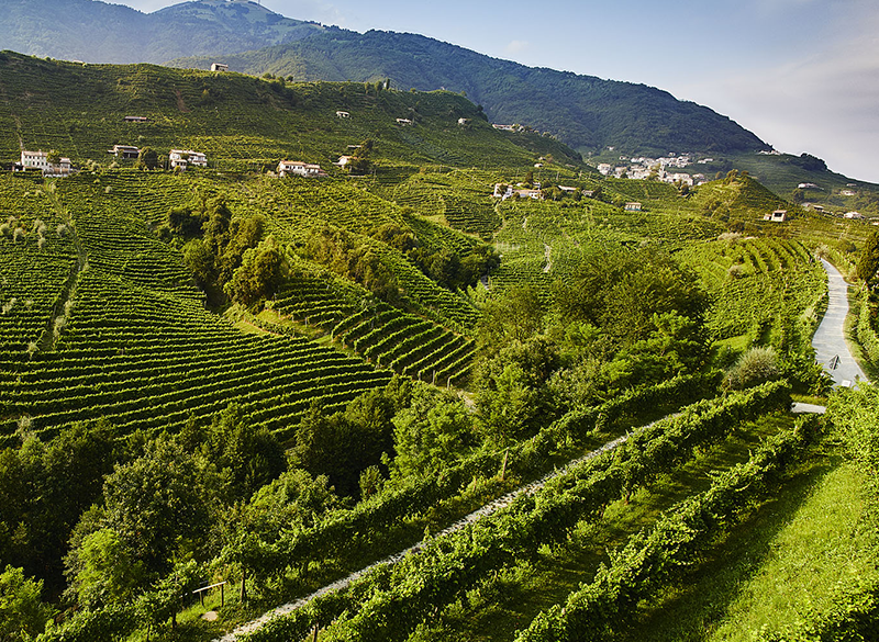 Prosecco: crisi di volumi, di identità o normale assestamento?