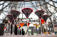 Le nomination italiane ai Wine Star Awards 2023 di Wine Enthusiast